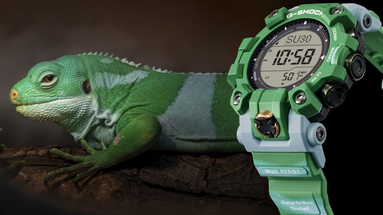  Casio G-Shock Mudman GW-9500KJ-3JR watch and banded iguana. 