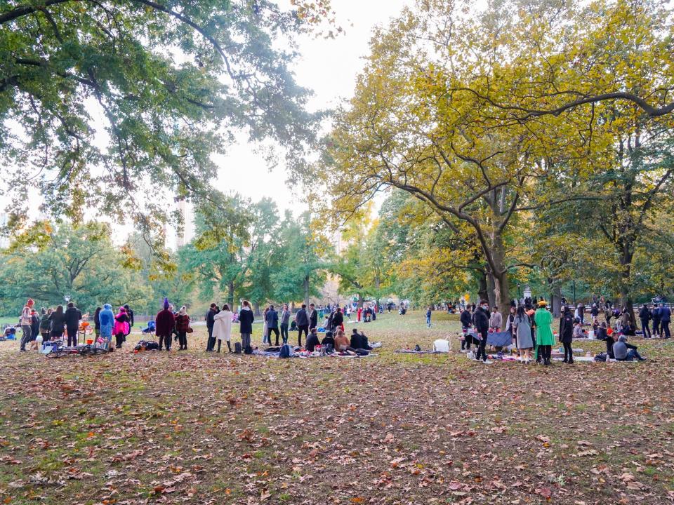 Groups of people in the park, with a foreground of brown leaves and a background of trees with yellow and green leaves.