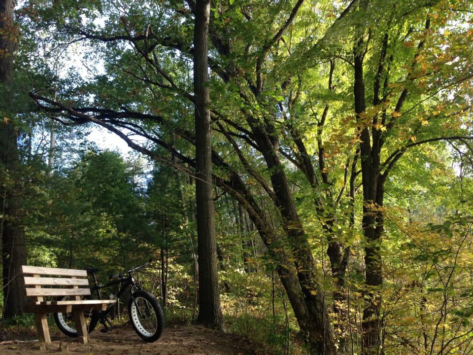 Wooded trails like this one at Madeline Bertrand County Park in Niles will grow eventually through nearly 33 acres that the park just added.