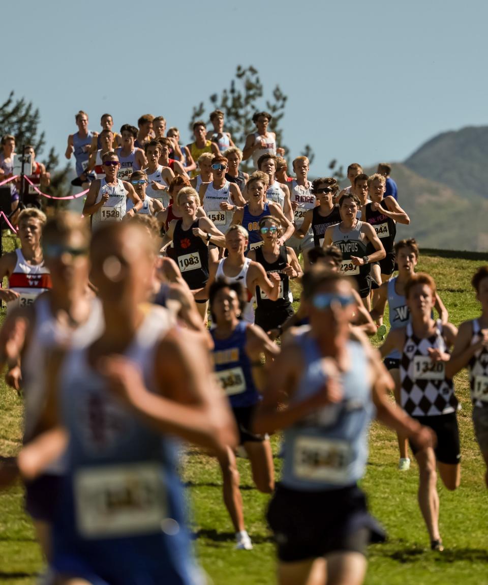Runners compete in the championship boys race at the Border Wars XC meet at Sugar House Park in Salt Lake City on Saturday, Sept. 16, 2023. | Spenser Heaps, Deseret News
