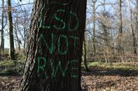 A tree in the Hambach Forest is sprayed with the graffiti "LSD not RWE", near the town of Buir