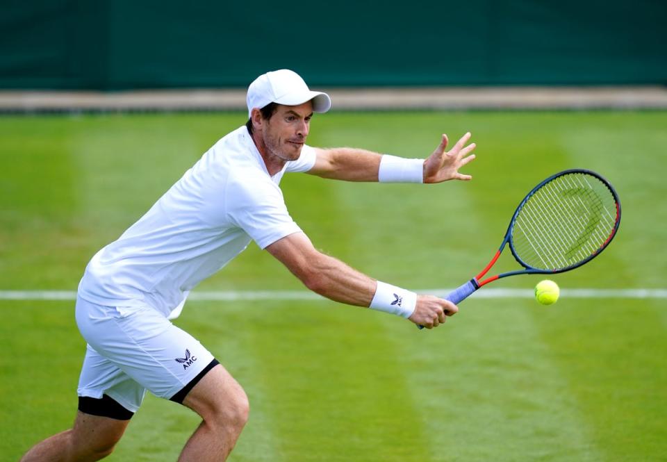 Andy Murray has been in fine form on the grass (John Walton/PA) (PA Wire)