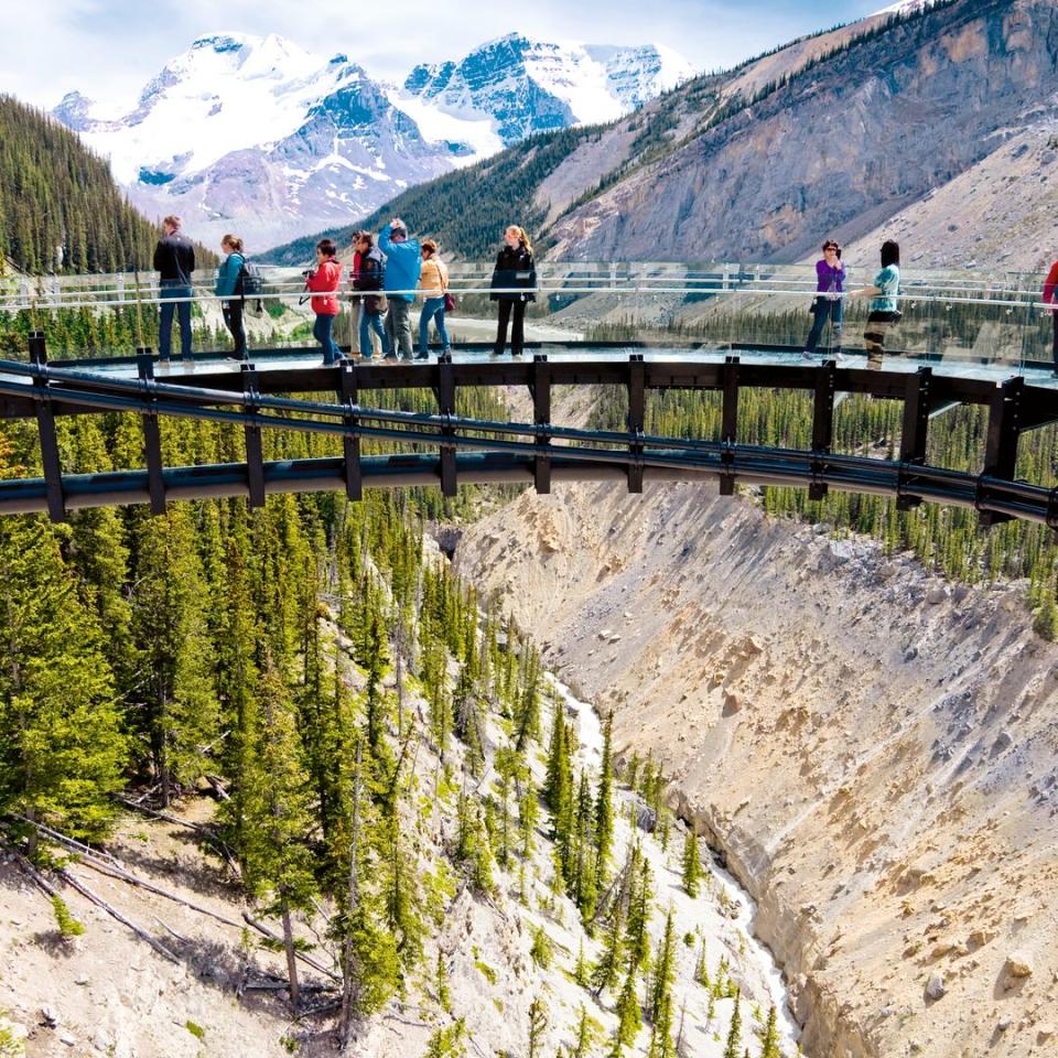 El mirador Glacier Skywalk,  en el Parque Nacional de Jasper Alberta, Canada