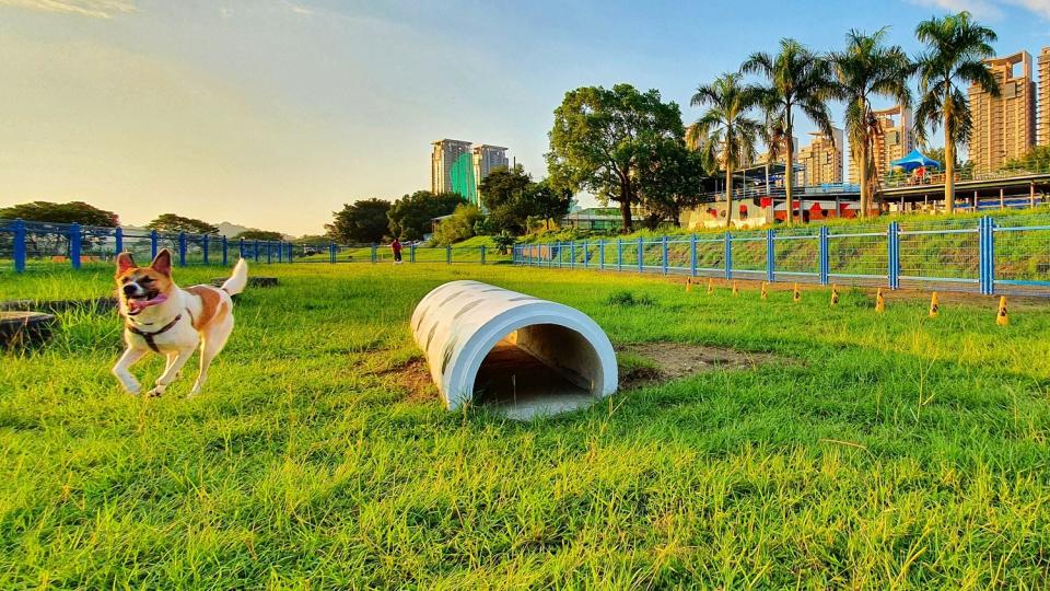 親情寵物公園-更新後的圍籬讓寵物公園更友善安全。   圖：新北市高灘處提供