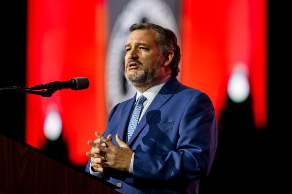 Ted Cruz addressed the NRA convention (Getty Images)