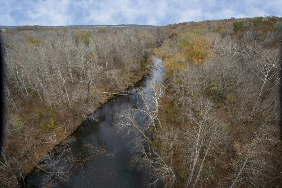 A river surrounded by forest