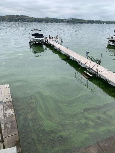 A blue green algae bloom is seen from shore on the east side of Canandaigua Lake in summer 2021.