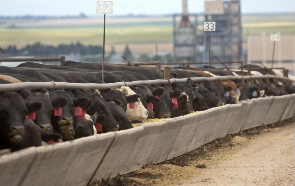 Federal and state agriculture authorities said bird flu has spread to cattle in Kansas.