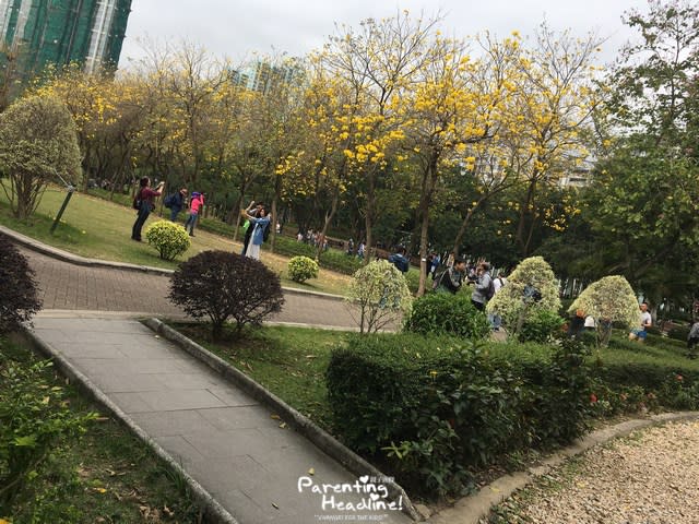 【親子好去處】南昌公園野餐兼賞黃花