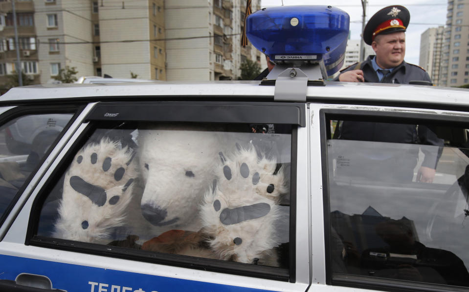 A Greenpeace activist, dressed as a polar bear, sits inside a police car after being detained outside Gazprom's headquarters in Moscow, Russia, Wednesday, Sept. 5, 2012. Russian and international environmentalists are protesting against Gazprom's plans to pioneer oil drilling in the Arctic. (AP Photo/Misha Japaridze)