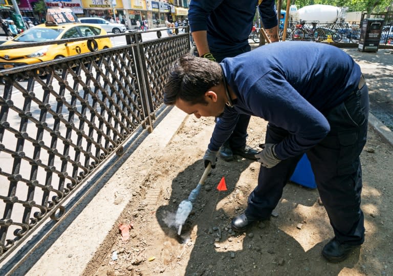 Health Department workers place dry ice into rat burrows