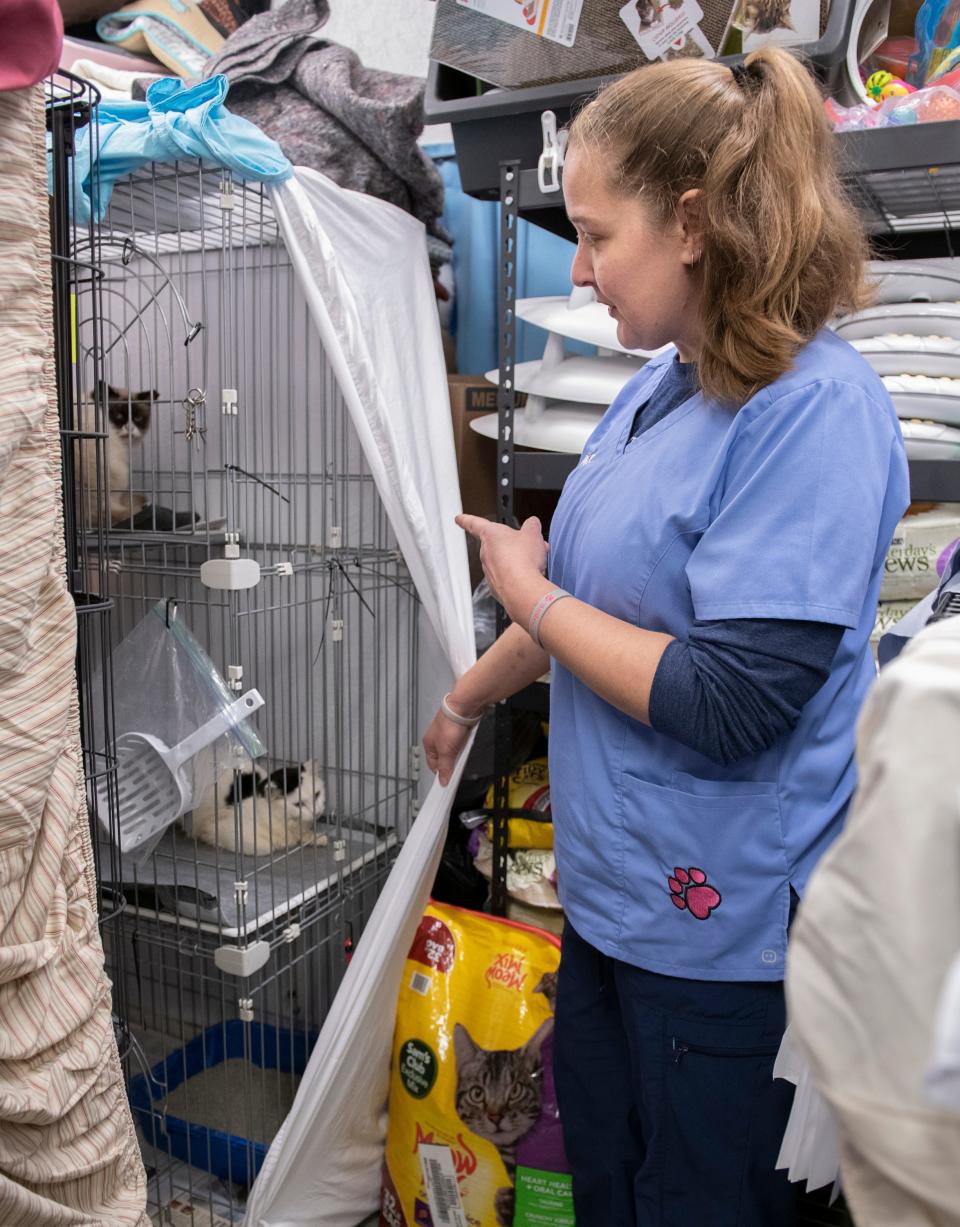 Brandi Winkleman, president of A HOPE, checks Wednesday on some of the dozens of stray cats that have been captured and medically treated at the facility in Milton. While some are being adopted, the rest of the cats will be released now that they all have been spayed or neutered.