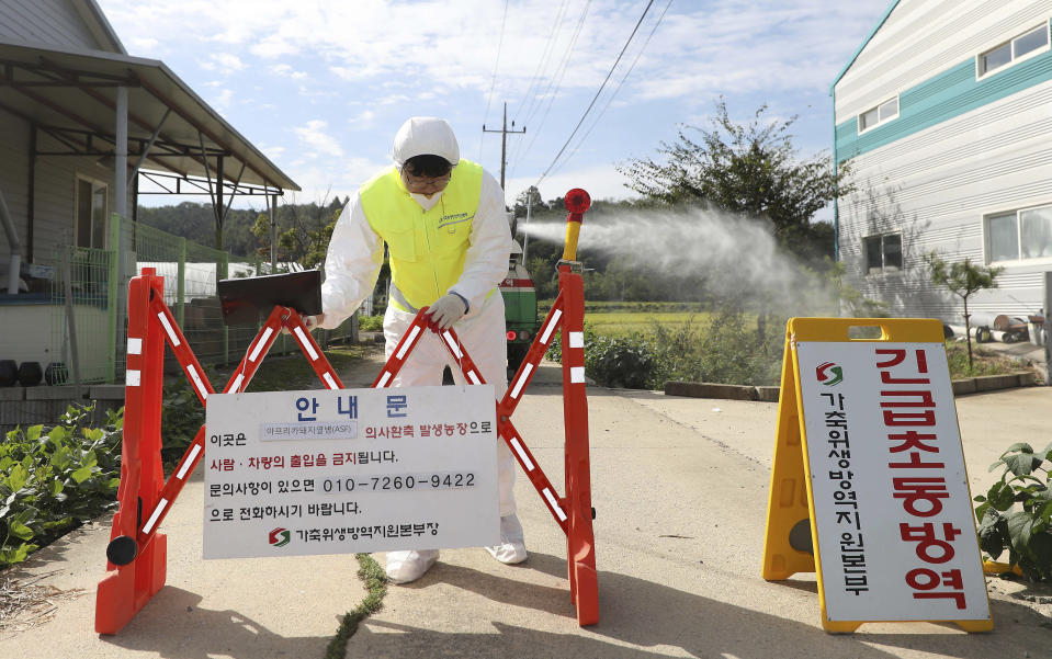 A quarantine official wearing protective gear places a barricade as a precaution against African swine fever at a pig farm in Paju, South Korea, Tuesday, Sept. 17, 2019. South Korea is culling thousands of pigs after confirming African swine fever at a farm near its border with North Korea, which had an outbreak in May. The notice reads: "Under quarantine." (Kim Sun-ung/Newsis via AP)