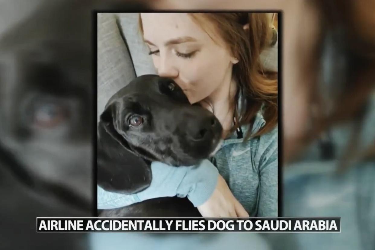 https://www.youtube.com/watch?v=aLv6_GDiUAI Dog mistakenly flown from Nashville, Tennessee to Saudi Arabia