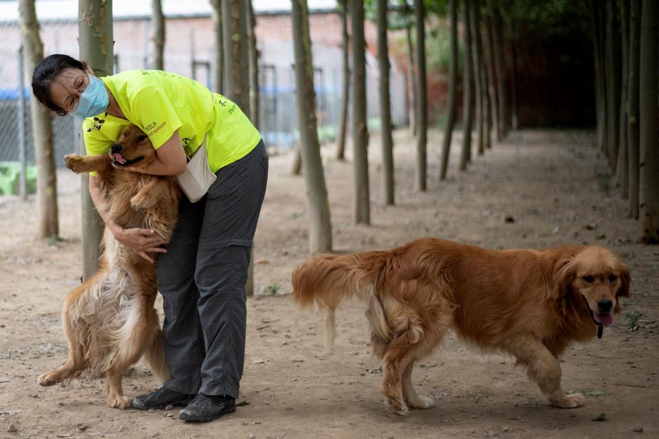 Volunteer "Ling" hugging one of the rescued dogs at a shelter on the outskirts of Beijing. Source: AFP