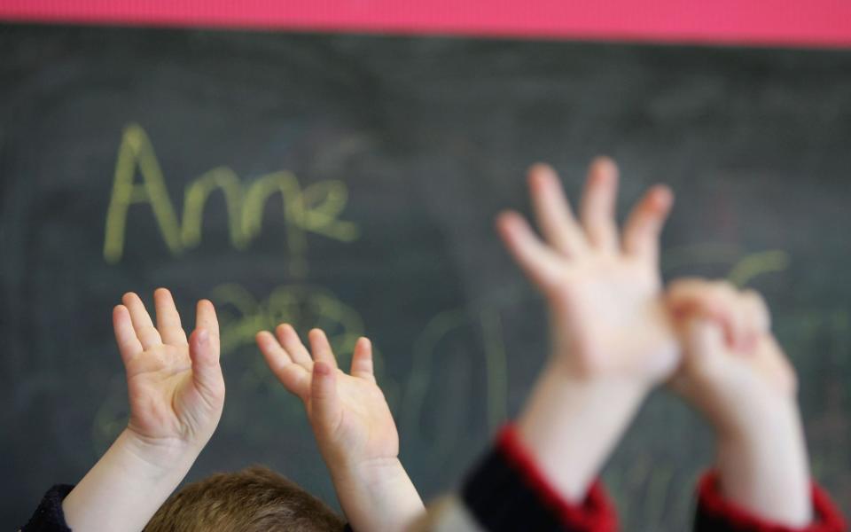 Some of the larger nurseries could increase their opening hours – but this is not an option for smaller nurseries which employ fewer staff - Credit:  Christopher Furlong