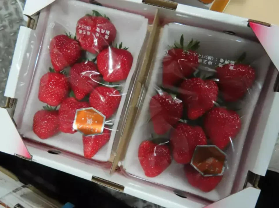 <strong>日本草莓農藥政策放寬。（圖／食藥署提供）</strong>
