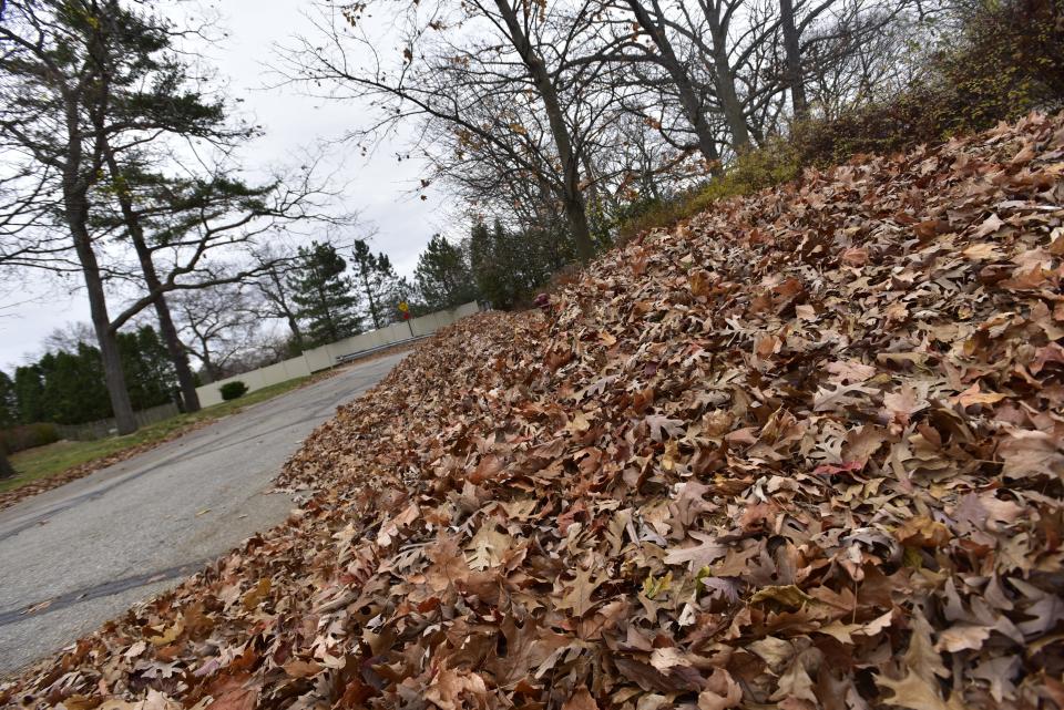 Pile of leaves amass on the curbside of a neighborhood street on the north end of the city on Tuesday, Nov. 15, 2022. The city of Port Huron is weighing putting out its refuse collection contract with Emterra out to bid next spring as Emterra is behind schedule on leaf collection this season.