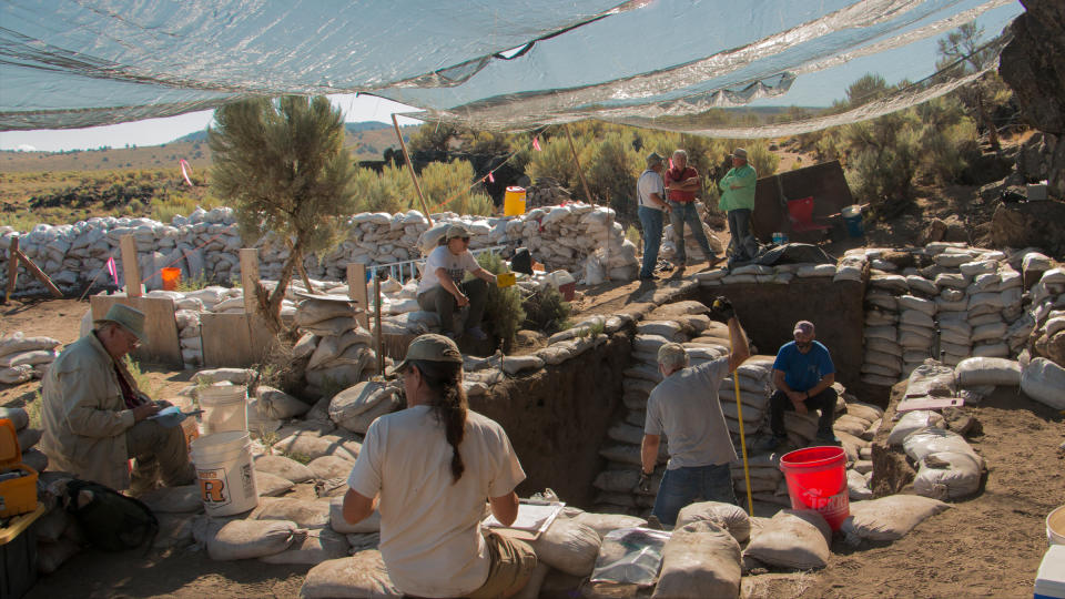 We see several researchers working at the excavation site under a net.