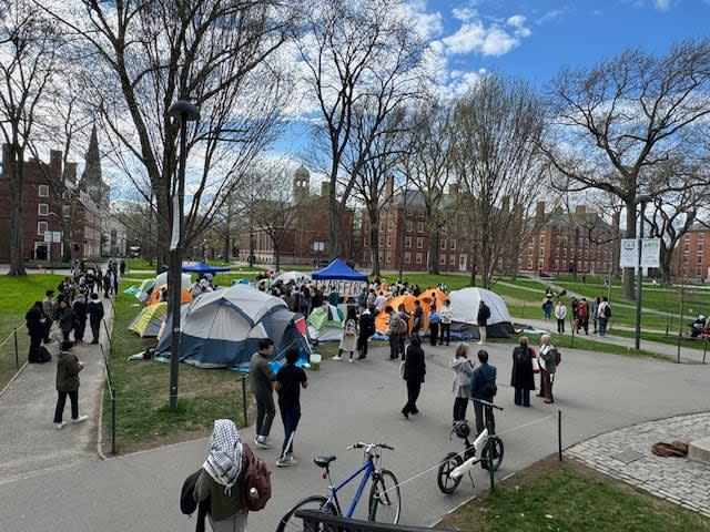 Protesters gather at the Harvard Yard in Cambridge, Massachusetts. 