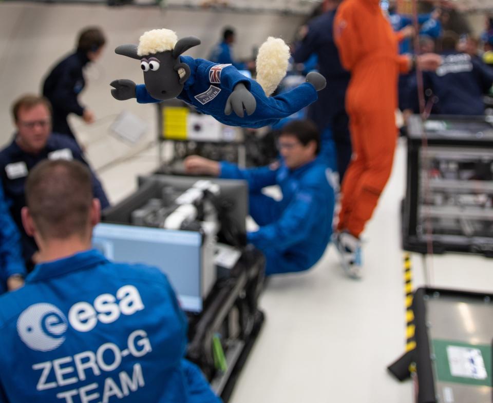 Shaun the Sheep, a contribution from the European Space Agency, seen here experiencing microgravity on a parabolic flight will fly next on NASA's Artemis I mission.