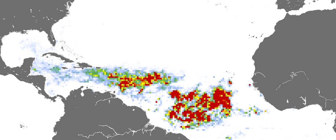 This map from the University of South Florida Optical Oceanography Laboratory shows the sargassum bloom as of March 2023. Red areas have a higher density of seaweed. Courtesy of the University of South Florida Optical Oceanography Laboratory