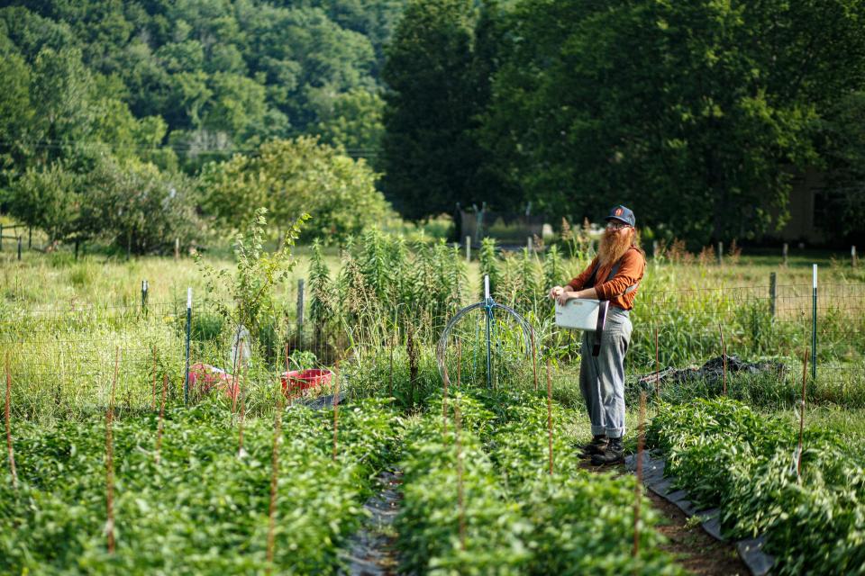 Daniel Foulks pauses from his duties to talk with his wife, Samantha, at The Farm & Fiddle in Santa Fe, Tenn. on Friday, July 7, 2023. The Faulks have run the farm for eight years and continually evolving their practices and shaping the future of the business.