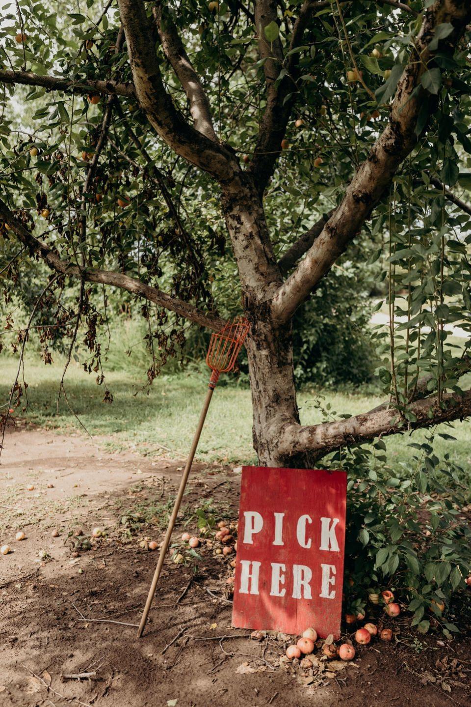 21) Cider Hill Family Orchard in Kansas City, Kansas