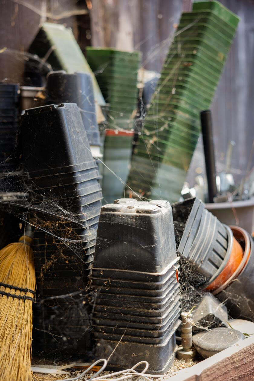 Plastic planters collect cobwebs on a shelf in the yard.