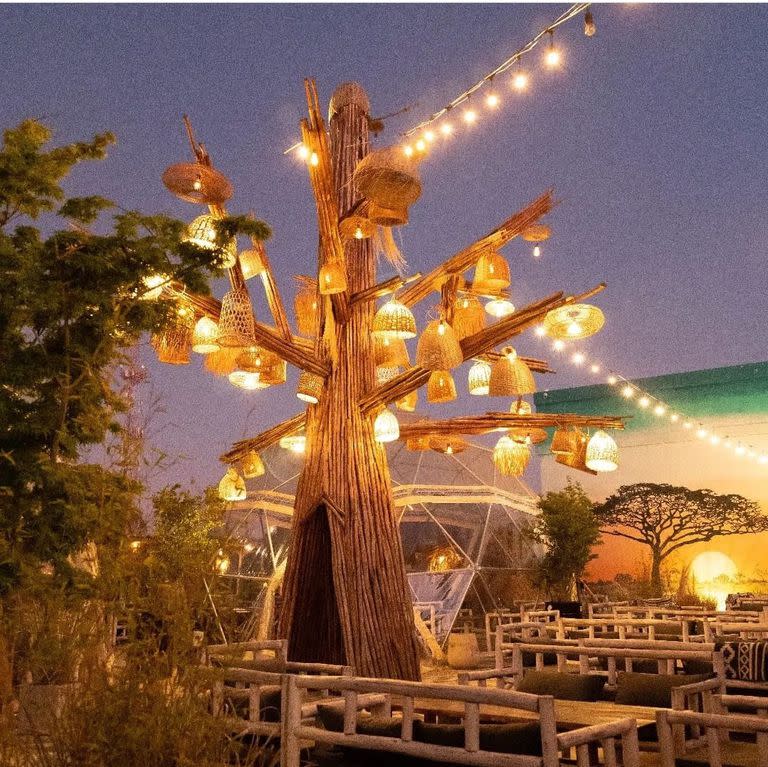 El árbol de Kenya Rooftop, una idea de Michel para un emprendimiento de Tigre