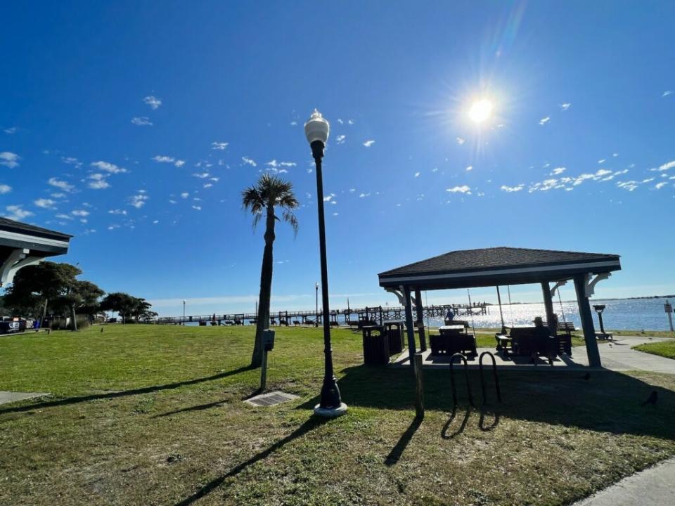 A palm tree at Waterfront Park in Southport. In 1992, another palm tree was replanted in the park after it was uprooted in another part of the city to make way for filming of a Disney movie.