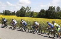 The pack of riders cycles on its way during the 237.5km 16th stage of the Tour de France cycling race between Carcassonne and Bagneres-de-Luchon, July 22, 2014. REUTERS/Jacky Naegelen