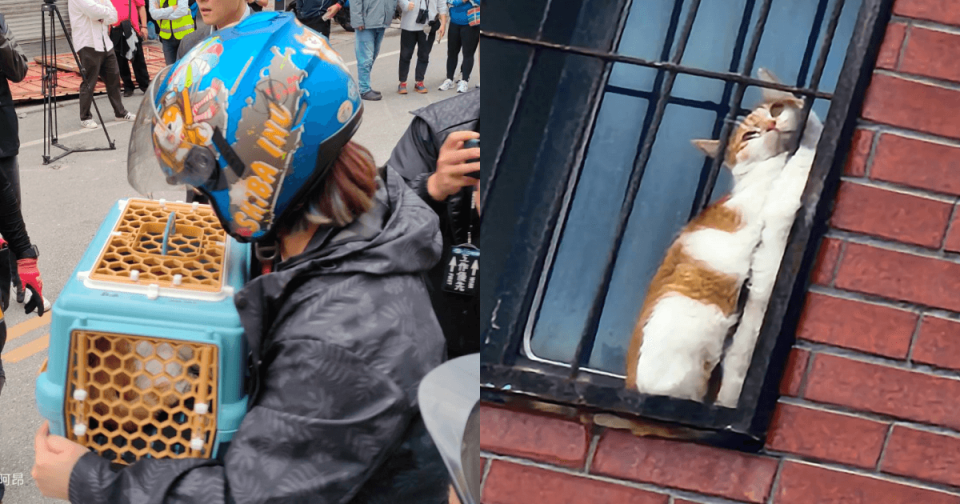 8樓余姓女住戶的愛貓「橘子」卡在鐵窗，已順利獲救。（翻攝自花蓮縣消防局臉書）