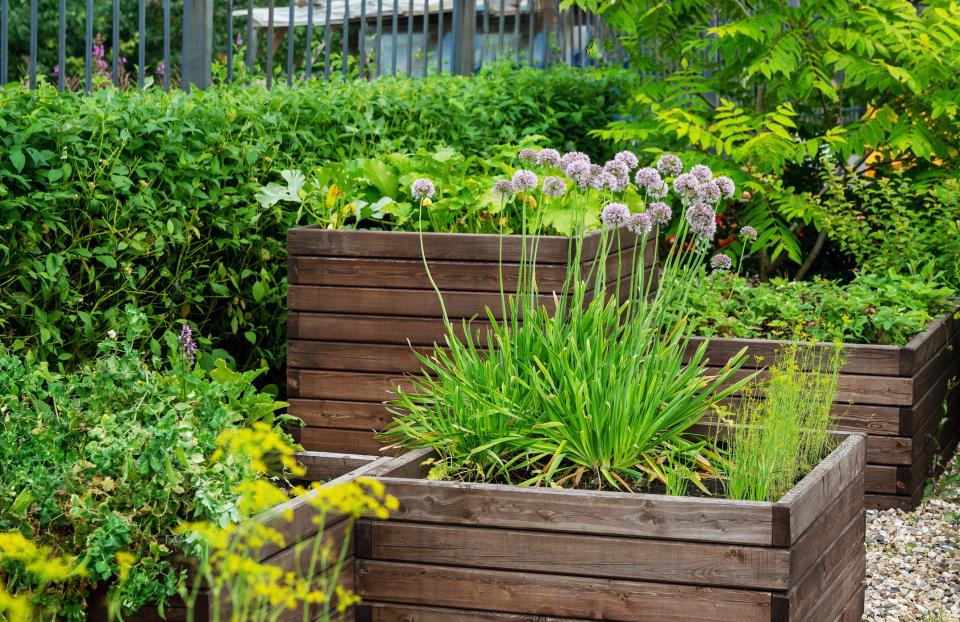 Wooden DIY raised garden bed