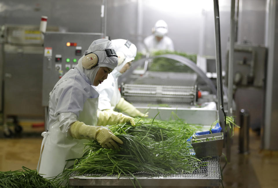 In this July 18, 2018, photo, workers inspect chives before they go into Bibigo dumplings at an automated factory of CJ CheilJedang Corp. in Incheon, South Korea. South Korea’s largest food company is making a multimillion-dollar bet on “mandu,” developing its own machines to automate the normally labor-intensive production of the Korean dumpling and building factories around the world.(AP Photo/Lee Jin-man)