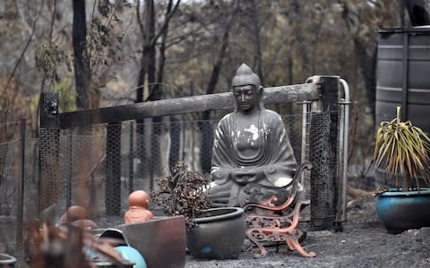 A statue of Buddha damaged by Saturday's catastrophic bushfires in the Southern Highlands village of Balmoral, Australia - Credit: Reuters