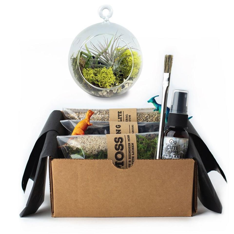 Terrarium Starter Kit