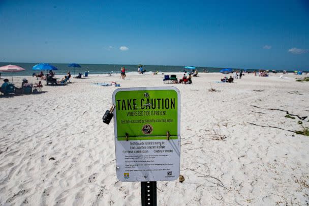 PHOTO: A red tide sign alerts beachgoers at Lynn Hall Park on Fort Myers Beach, March 6, 2023. (Andrew West/The News-Press/USA Today Network)
