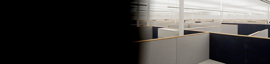 Empty office cubicles