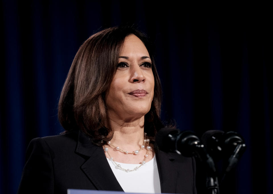 Kamala Harris. (Photo by Michael A. McCoy/Getty Images)