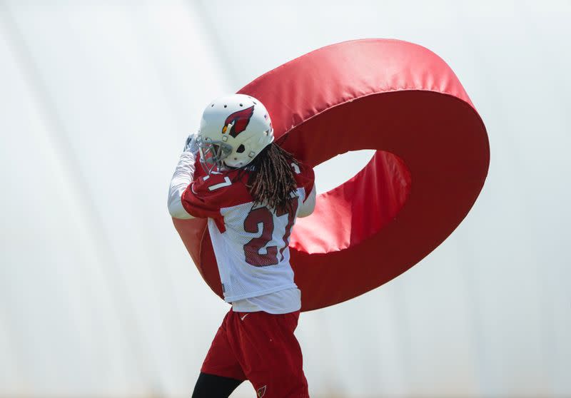 FILE PHOTO: NFL: Arizona Cardinals-Minicamp, Defensive Back Josh Shaw