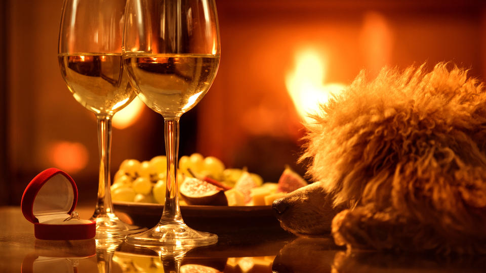 Poodle in lavish dinner scene