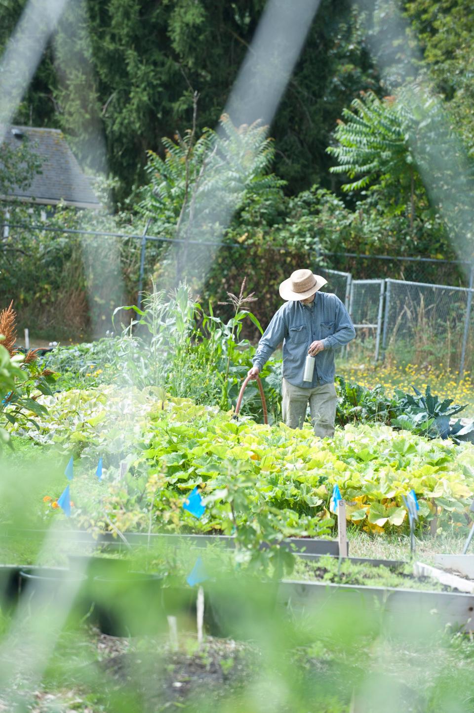 The best to water plants and gardens is in the morning because water won't evaporate and leaves will dry more quickly and be less likely to grow fungi or get other foliar diseases.