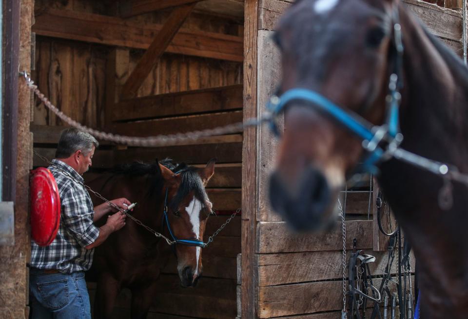 Dr. Andy Roberts preps a horse for castration during a recent visit at Shawnee Run Farm outside Harrodsburg, Ky. Roberts, 56, is a large/food animal and equine vet based in Kentucky. March 27, 2023