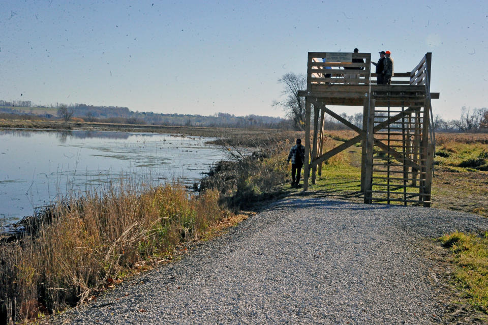 People attending the event were able to stand on a new observation tower built by a Shreve Boy Scout troop and look out over the wetlands near Funk.
