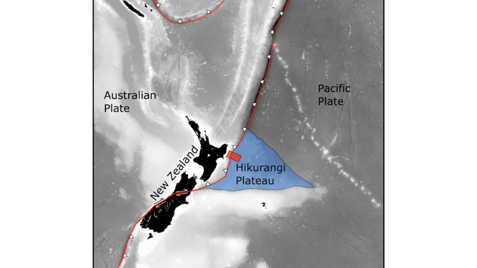 A map of the Hikurangi plateau, which sits on the Pacific tectonic plate, to the east of New Zealand's North Island.