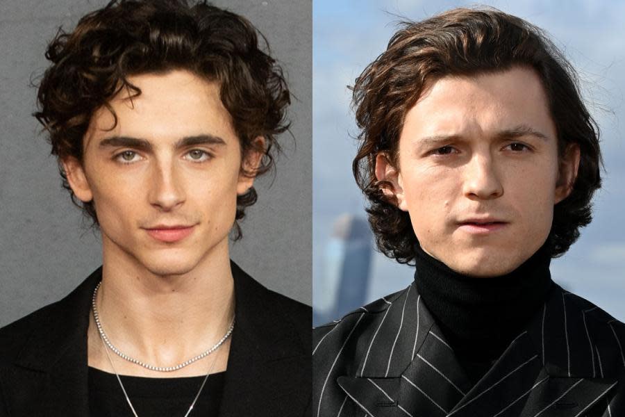 Timothée Chalamet dice que Tom Holland es el maestro del carisma