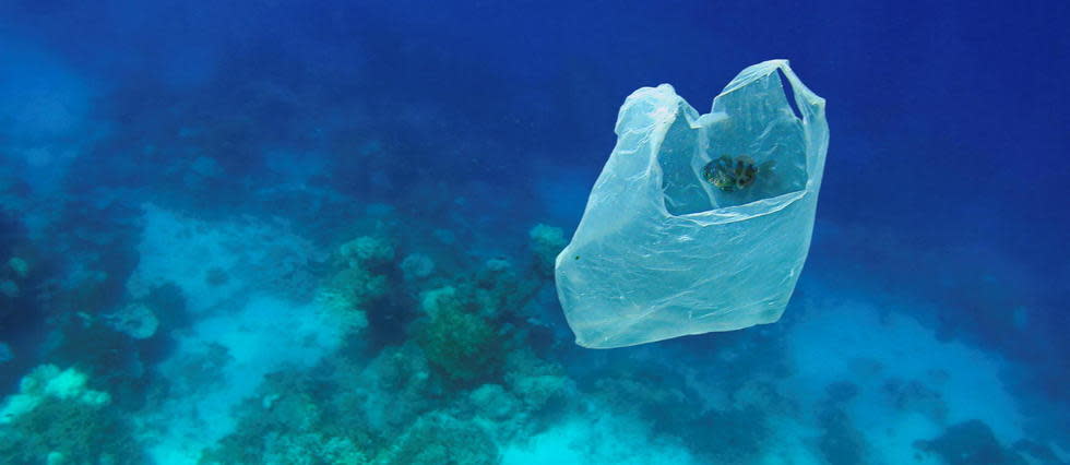 Selon l’agence scientifique du gouvernement australien relayée par « The Guardian », cette quantité est 30 fois supérieure à celle du plastique en surface des océans.
