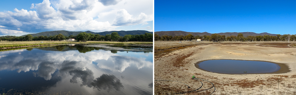 Contrasting photos taken in 2017 and 2019 show the impact of the drought in Stanthorpe. Source: Jenny Hillman