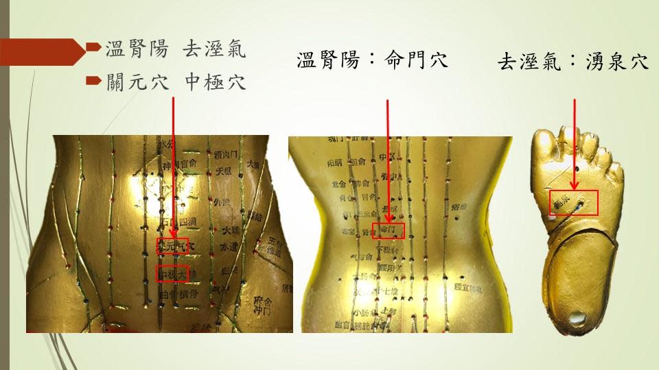 「五臟三伏貼」的重要治療穴位。（記者張誼攝）